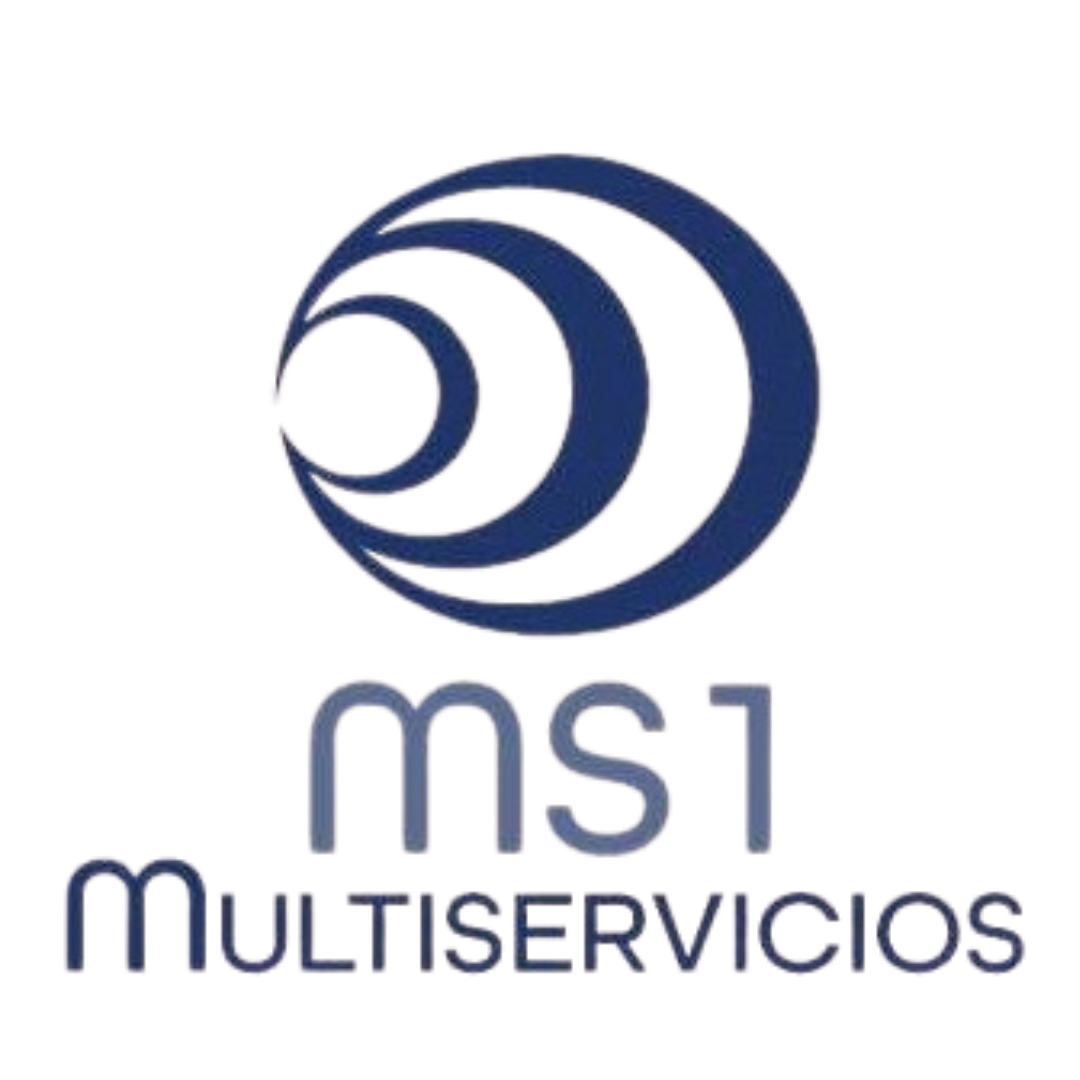 logo MS1 color