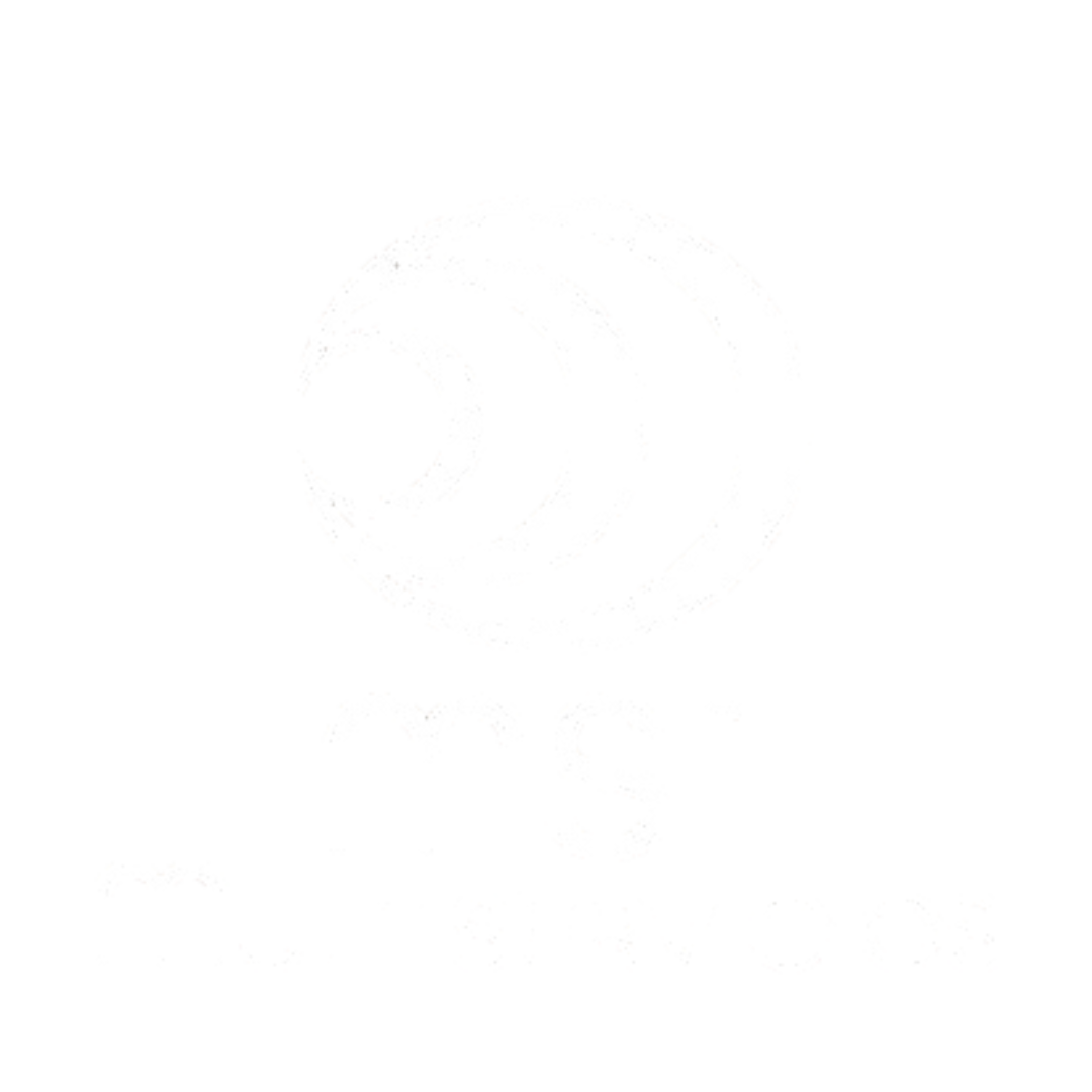 logo mS1 bco